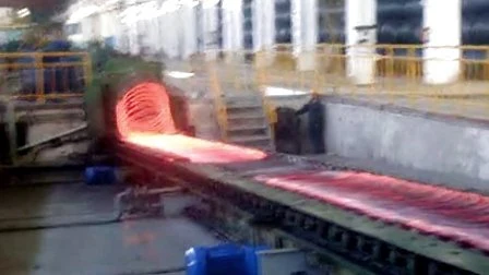 Laying Head and Wire Discharger Head for Steel Rolling Line